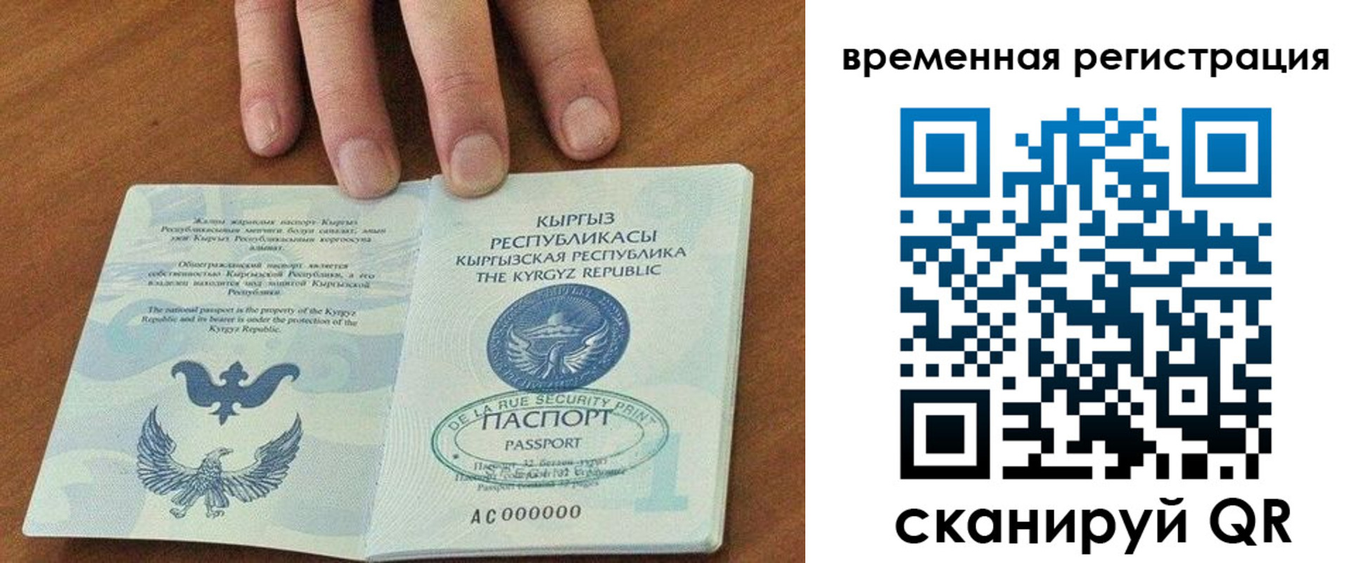 где прописаться в Звенигово